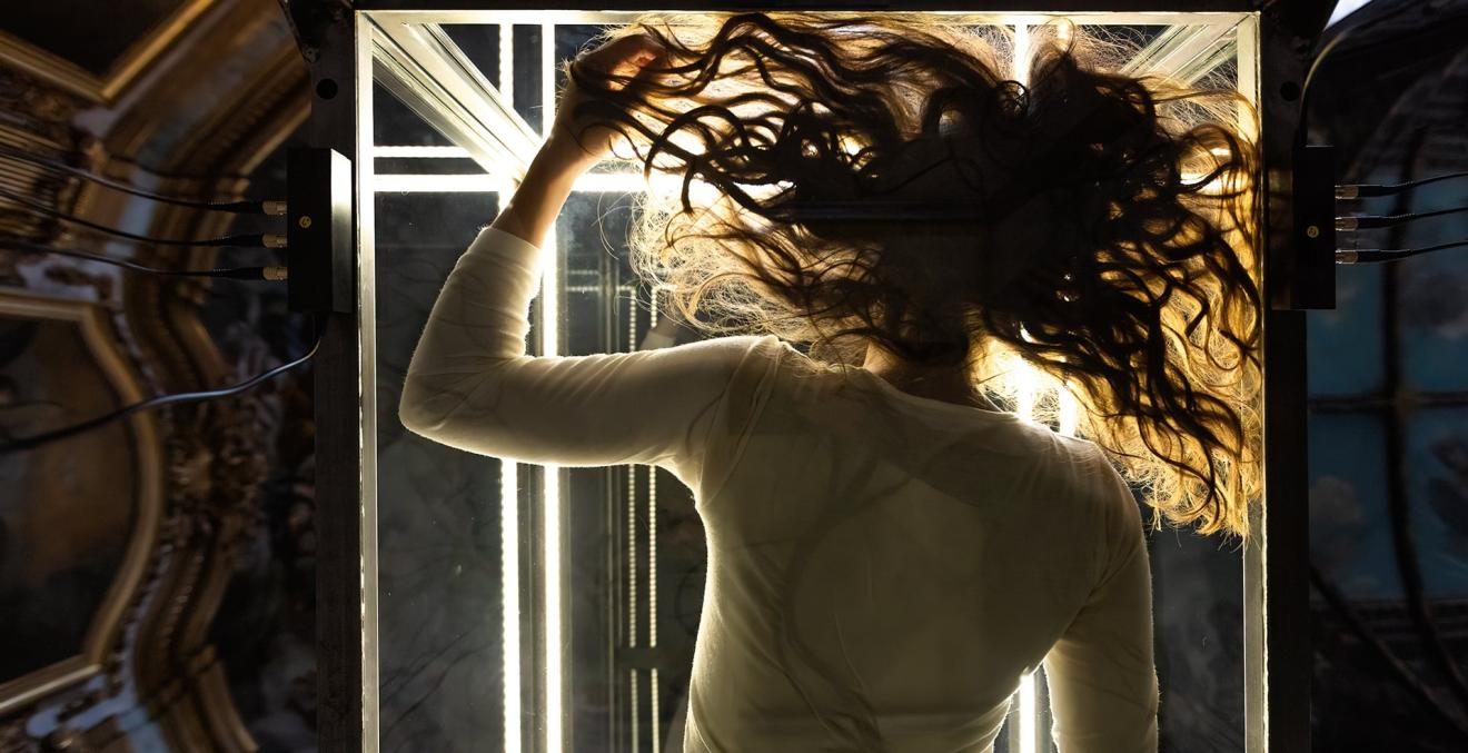 Cabinet de Curiosité