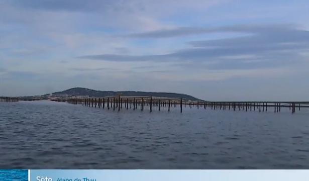 Les hommes et l’étang, « et si le printemps ne revenait pas ? »