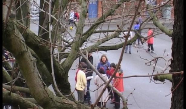 Les enfants du conte